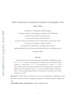 State estimation in quantum homodyne tomography with noisy data