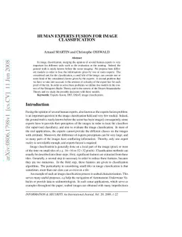 Human expert fusion for image classification