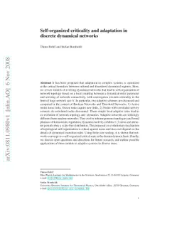 Self-organized criticality and adaptation in discrete dynamical networks
