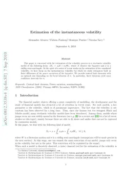 Estimation of the instantaneous volatility