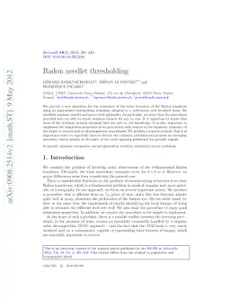 Radon needlet thresholding