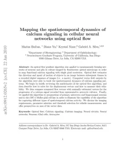 Mapping the spatiotemporal dynamics of calcium signaling in cellular
  neural networks using optical flow