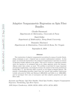Adaptive Nonparametric Regression on Spin Fiber Bundles