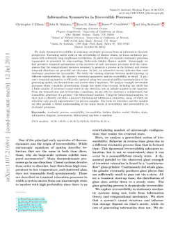 Information Symmetries in Irreversible Processes