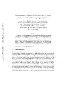 Mixtures of conditional Gaussian scale mixtures applied to multiscale
  image representations