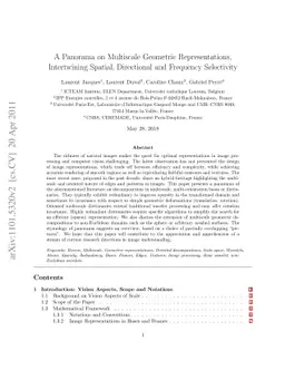 A Panorama on Multiscale Geometric Representations, Intertwining
  Spatial, Directional and Frequency Selectivity