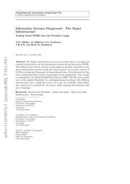 Information Systems Playground - The Target Infrastructure, Scaling
  Astro-WISE into the Petabyte range