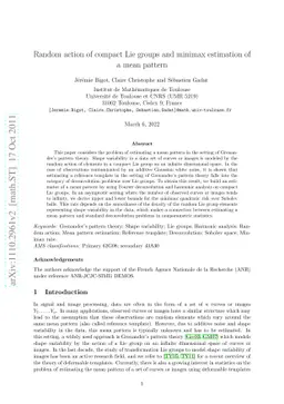 Random action of compact Lie groups and minimax estimation of a mean
  pattern