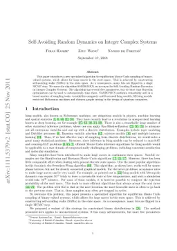 Self-Avoiding Random Dynamics on Integer Complex Systems