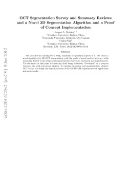 OCT Segmentation Survey and Summary Reviews and a Novel 3D Segmentation
  Algorithm and a Proof of Concept Implementation