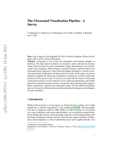 The Ultrasound Visualization Pipeline - A Survey