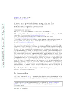 Lasso and probabilistic inequalities for multivariate point processes