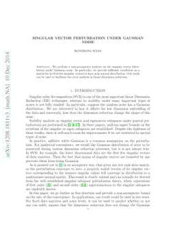 Singular Vector Perturbation under Gaussian Noise