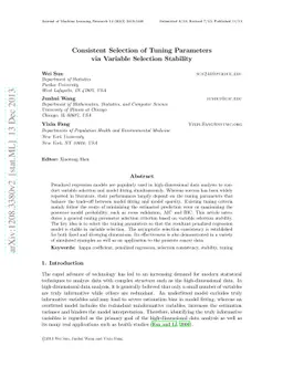 Consistent selection of tuning parameters via variable selection
  stability
