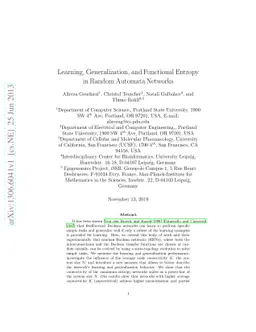 Learning, Generalization, and Functional Entropy in Random Automata
  Networks
