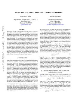 Sparse and Functional Principal Components Analysis