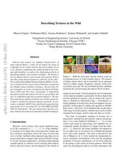 Describing Textures in the Wild