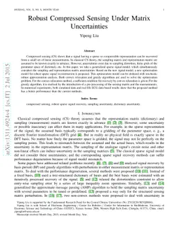 Robust Compressed Sensing Under Matrix Uncertainties