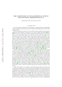 The constitution of visual perceptual units in the functional
  architecture of V1