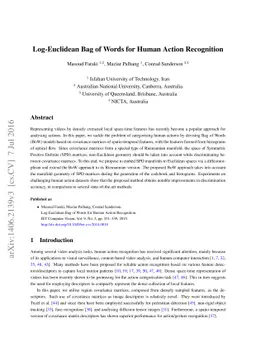 Log-Euclidean Bag of Words for Human Action Recognition