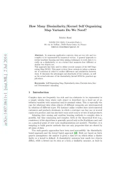 How Many Dissimilarity/Kernel Self Organizing Map Variants Do We Need?