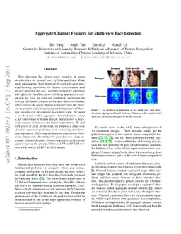 Aggregate channel features for multi-view face detection