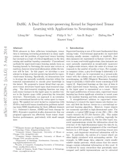 DuSK: A Dual Structure-preserving Kernel for Supervised Tensor Learning
  with Applications to Neuroimages