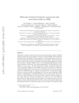 Multiscale statistical testing for connectome-wide association studies
  in fMRI
