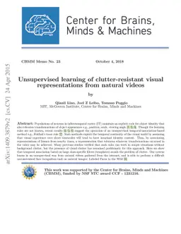 Unsupervised learning of clutter-resistant visual representations from
  natural videos