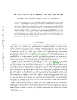 Exact goodness-of-fit testing for the Ising model