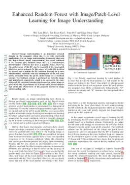 Enhanced Random Forest with Image/Patch-Level Learning for Image
  Understanding