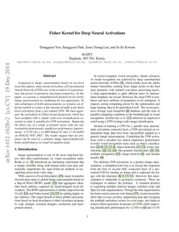 Fisher Kernel for Deep Neural Activations