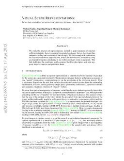 Visual Scene Representations: Contrast, Scaling and Occlusion