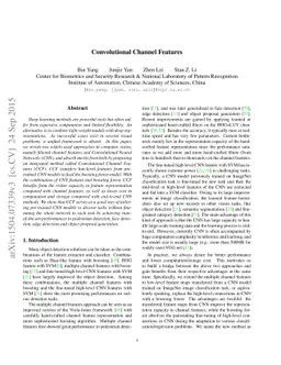 Convolutional Channel Features