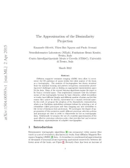 The Approximation of the Dissimilarity Projection