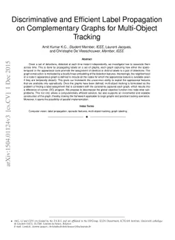 Discriminative and Efficient Label Propagation on Complementary Graphs
  for Multi-Object Tracking