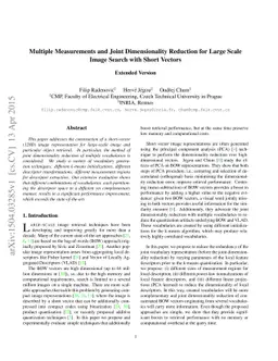 Multiple Measurements and Joint Dimensionality Reduction for Large Scale
  Image Search with Short Vectors - Extended Version