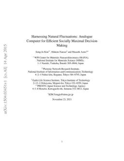 Harnessing Natural Fluctuations: Analogue Computer for Efficient
  Socially Maximal Decision Making