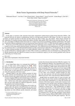 Brain Tumor Segmentation with Deep Neural Networks