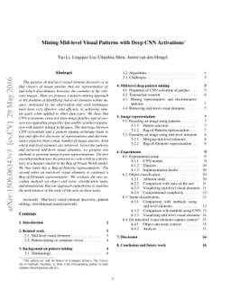 Mining Mid-level Visual Patterns with Deep CNN Activations
