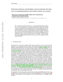 Convolutional networks and learning invariant to homogeneous
  multiplicative scalings