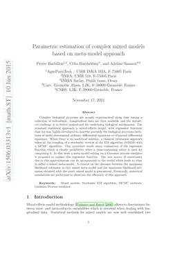 Parametric estimation of complex mixed models based on meta-model
  approach