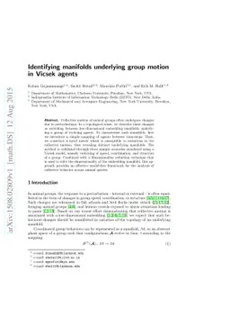 Identifying manifolds underlying group motion in Vicsek agents