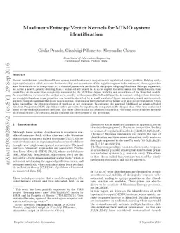 Maximum Entropy Vector Kernels for MIMO system identification