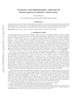 Geometry and dimensionality reduction of feature spaces in primary
  visual cortex