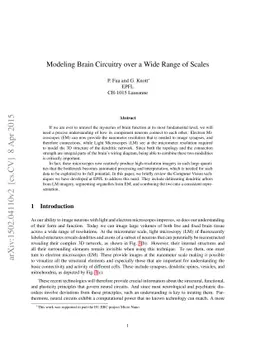 Modeling Brain Circuitry over a Wide Range of Scales