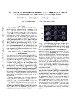 Recognizing Focal Liver Lesions in Contrast-Enhanced Ultrasound with
  Discriminatively Trained Spatio-Temporal Model