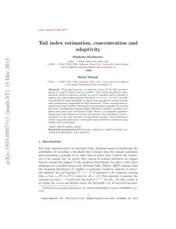 Tail index estimation, concentration and adaptivity