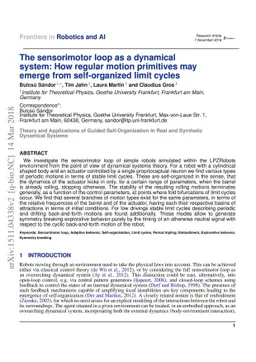 The sensorimotor loop as a dynamical system: How regular motion
  primitives may emerge from self-organized limit cycles