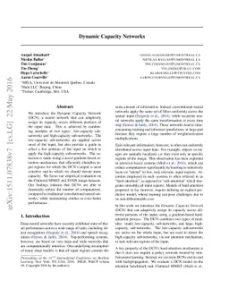 Dynamic Capacity Networks